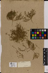 SW_BNB_s3090-01323_IMG-0000000001