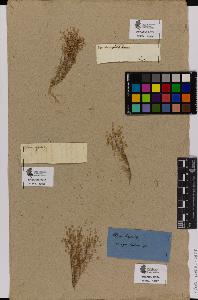 SW_BNB_s3090-01337_IMG-0000000001