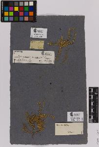 SW_BNB_s3090-01342_IMG-0000000001