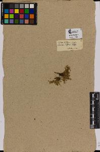 SW_BNB_s3090-01351_IMG-0000000001