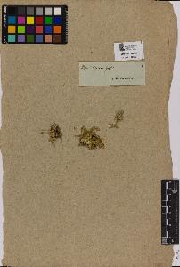 SW_BNB_s3090-01380_IMG-0000000001