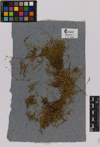 SW_BNB_s3090-01391_IMG-0000000001
