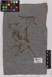 SW_BNB_s3090-01394_IMG-0000000001