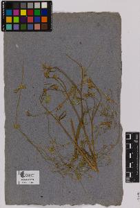SW_BNB_s3090-01425_IMG-0000000001