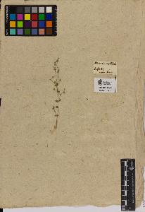 SW_BNB_s3090-01448_IMG-0000000001