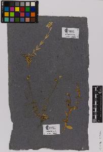 SW_BNB_s3090-01452_IMG-0000000001