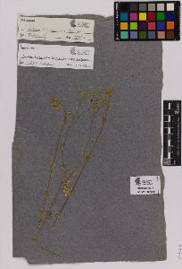 SW_BNB_s3090-01494_IMG-0000000001