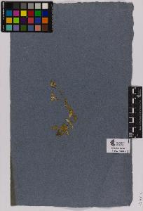 SW_BNB_s3090-01495_IMG-0000000001