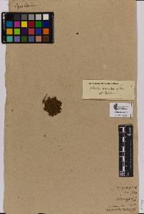 SW_BNB_s3090-01536_IMG-0000000001