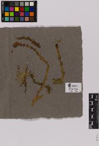 SW_BNB_s3090-01538_IMG-0000000001