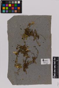 SW_BNB_s3090-01576_IMG-0000000001