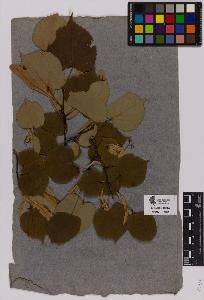 SW_BNB_s3090-01622_IMG-0000000001