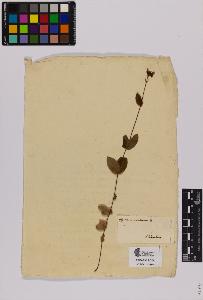 SW_BNB_s3090-01630_IMG-0000000001
