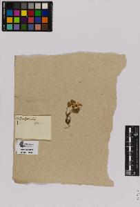 SW_BNB_s3090-01682_IMG-0000000001