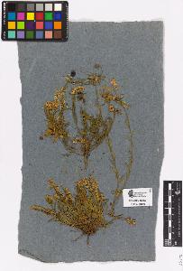 SW_BNB_s3090-01765_IMG-0000000001
