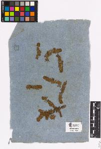 SW_BNB_s3090-01778_IMG-0000000001