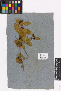 SW_BNB_s3090-01797_IMG-0000000001
