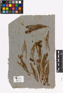 SW_BNB_s3090-01877_IMG-0000000001