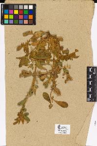 SW_BNB_s3090-01947_IMG-0000000001