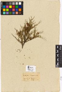 SW_BNB_s3090-01949_IMG-0000000001