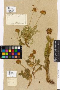 SW_BNB_s3090-01959_IMG-0000000001