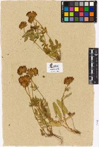 SW_BNB_s3090-01960_IMG-0000000001