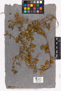 SW_BNB_s3090-01964_IMG-0000000001