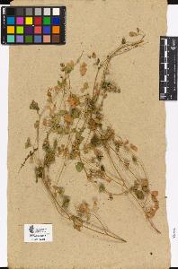 SW_BNB_s3090-01967_IMG-0000000001