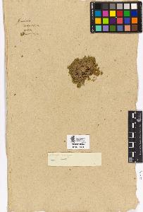 SW_BNB_s3090-01975_IMG-0000000001