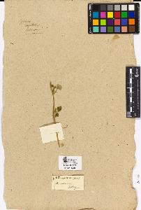 SW_BNB_s3090-01977_IMG-0000000001