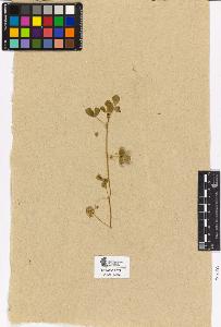 SW_BNB_s3090-01987_IMG-0000000001