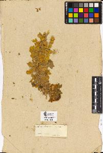 SW_BNB_s3090-01995_IMG-0000000001