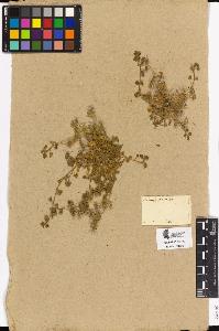 SW_BNB_s3090-01997_IMG-0000000001