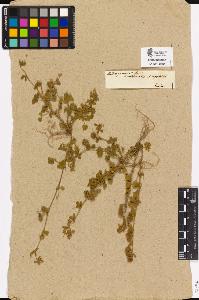 SW_BNB_s3090-02015_IMG-0000000001
