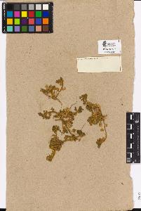 SW_BNB_s3090-02050_IMG-0000000001