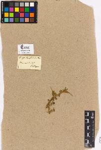 SW_BNB_s3090-02055_IMG-0000000001
