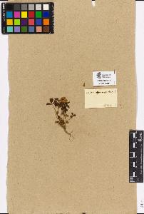 SW_BNB_s3090-02064_IMG-0000000001