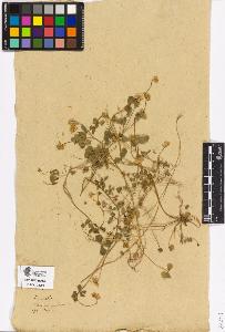 SW_BNB_s3090-02164_IMG-0000000001