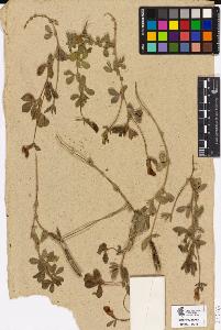 SW_BNB_s3090-02239_IMG-0000000001