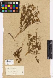 SW_BNB_s3090-02251_IMG-0000000001