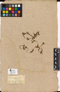 SW_BNB_s3090-02254_IMG-0000000001