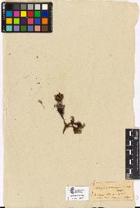 SW_BNB_s3090-02340_IMG-0000000001