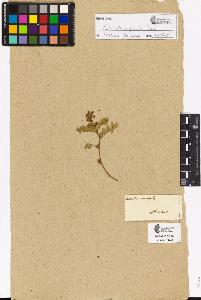 SW_BNB_s3090-02405_IMG-0000000001