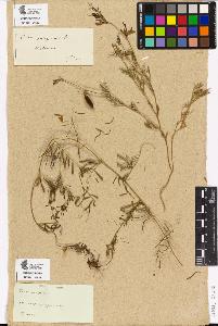 SW_BNB_s3090-02495_IMG-0000000001