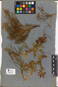 SW_BNB_s3090-02727_IMG-0000000001