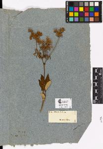 SW_BNB_s3090-02749_IMG-0000000001