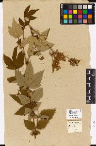 SW_BNB_s3090-02757_IMG-0000000001