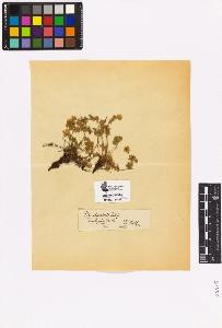 SW_BNB_s3090-02790_IMG-0000000001