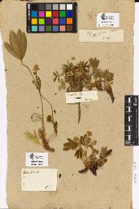 SW_BNB_s3090-02820_IMG-0000000001
