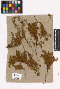 SW_BNB_s3090-02853_IMG-0000000001